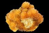 Intense Orange Calcite Crystals - Poland #104206-1